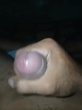 taylorWiiz online show from 02/05/26, 06:31