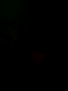 taylorWiiz online show from 10/16/25, 05:32