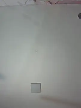 kiim taaylor online show from 02/25/26, 11:32