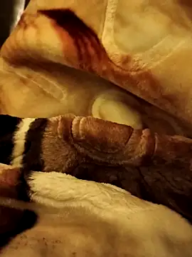 yhona darling online show from 12/16/25, 05:17