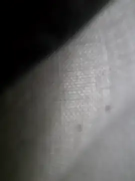 hungarian dick online show from 02/02/25, 11:18