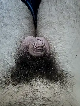 hungarian dick online show from 10/19/25, 10:51