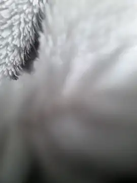 hungarian dick online show from 01/31/25, 09:37