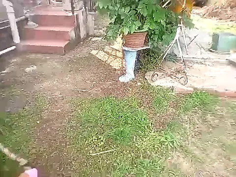 Snapshot of bustybillies chatting on 10/11/25, 03:57 bustybillies online show from 10/11/25, 03:57