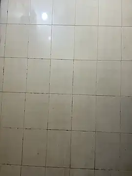 SinfulSensation online show from 03/22/25, 05:17