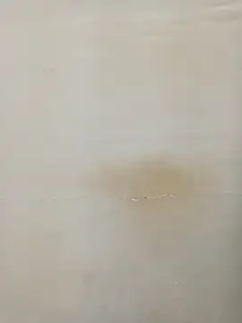 Snapshot of Rina777o chatting on 03/07/25, 06:11 Rina777o online show from 03/07/25, 06:11