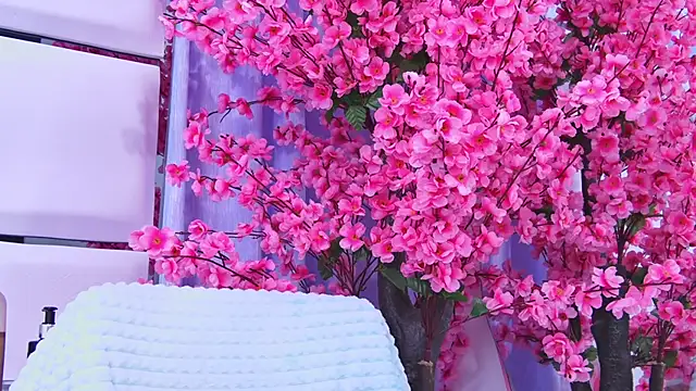 AlliciaKim online show from 04/28/26, 12:31