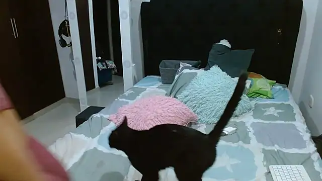 amazonafit  online show from 02/27/25, 04:13