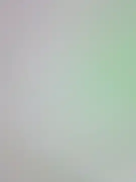 -Zelda- online show from 10/24/25, 08:30