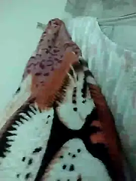 lm279 online show from 03/16/25, 09:16