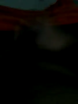 lm279 online show from 10/25/25, 06:08