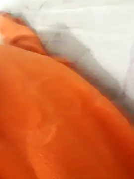 lm279 online show from 11/21/25, 04:17