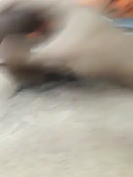 lm279 online show from 02/11/26, 03:45