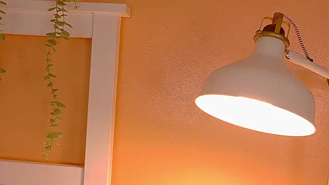 Snapshot of ParisFox_ chatting on 12/20/25, 01:08 ParisFox online show from 12/20/25, 01:08