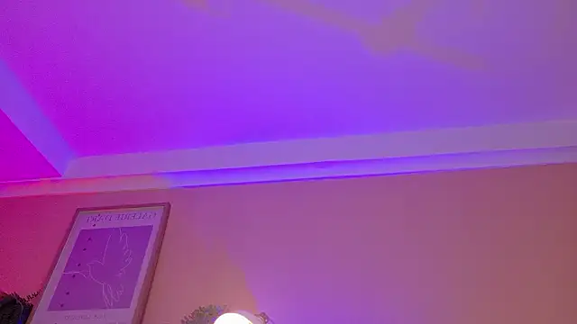 Snapshot of ParisFox_ chatting on 02/26/26, 08:53 ParisFox online show from 02/26/26, 08:53