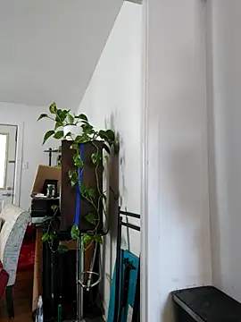 QcMisterv13 online show from 09/30/25, 02:23
