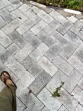 Ishan003 online show from 09/12/25, 01:39