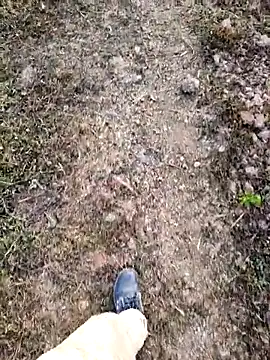 Ishan003 online show from 02/05/26, 01:34