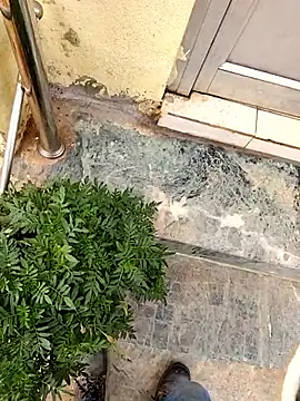 Ishan003 online show from 03/06/26, 03:12