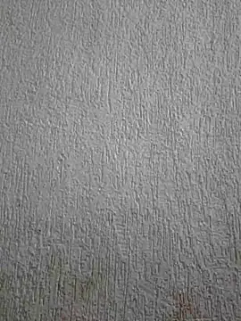 Priya Strip online show from 05/03/26, 11:47