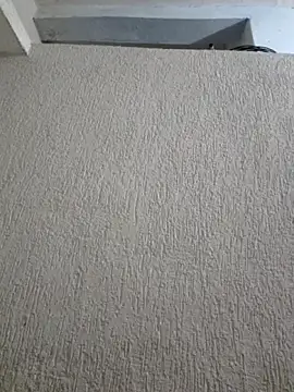 Priya Strip online show from 05/04/26, 08:00