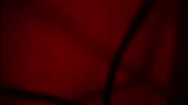 Nathaly love96 online show from 09/12/25, 06:07