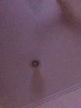 ty2003x33 online show from 12/26/24, 04:04