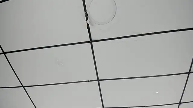 Sophia Lemos online show from 10/18/25, 01:46