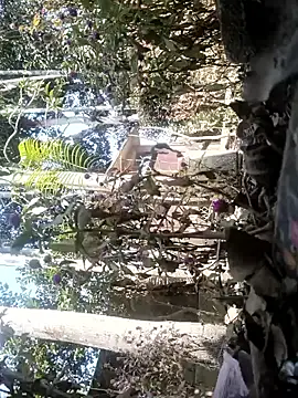 AssamSilchar93 online show from 02/07/26, 06:10