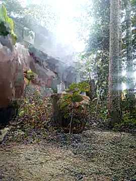 AssamSilchar93 online show from 02/01/26, 09:18