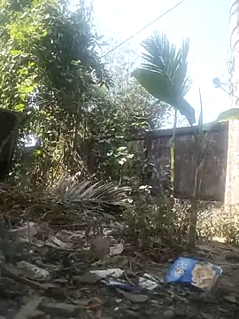 AssamSilchar93 online show from 02/08/26, 06:55