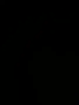 Jan4576 online show from 01/11/26, 12:12