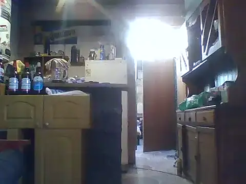 ar Lily online show from 12/08/24, 06:17