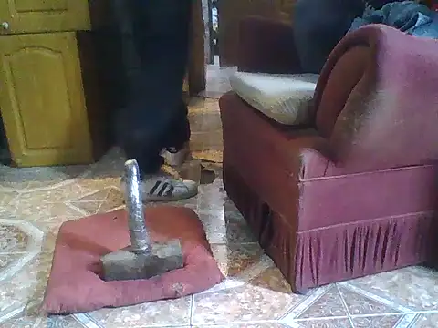 ar Lily online show from 12/08/24, 10:30