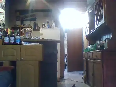 ar Lily online show from 12/08/24, 01:36