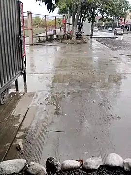 BeetledFlouter12 online show from 09/26/25, 07:10