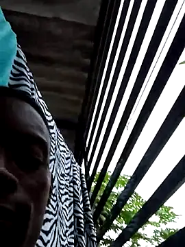 BeetledFlouter12 online show from 12/17/25, 09:42