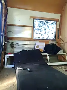 ed44435 online show from 11/10/25, 04:23