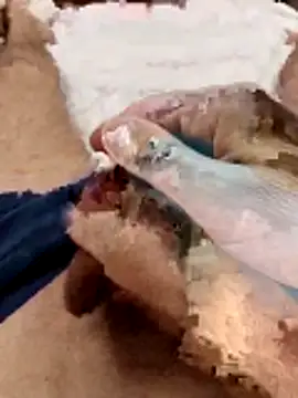 Sperma-V-rotik online show from 12/22/25, 06:19