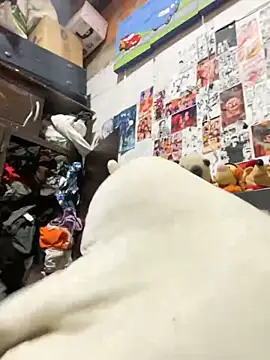 dafne19  online show from 02/06/26, 04:08