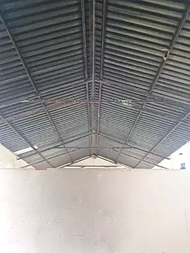 bull Giant online show from 02/20/25, 11:42