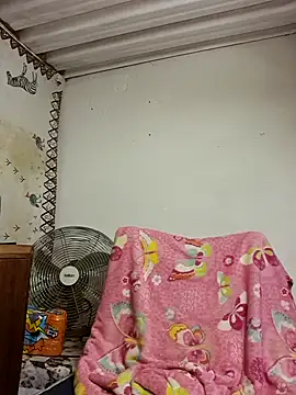 bull Giant online show from 01/31/25, 09:26