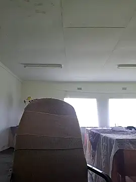 bull Giant online show from 02/11/25, 12:15