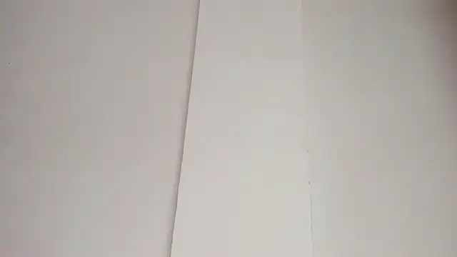 LiaFlowers online show from 02/23/25, 07:22