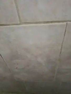 AlkalineCalmness online show from 04/11/26, 06:32