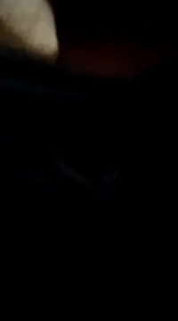 richnd333 online show from 12/17/24, 05:07