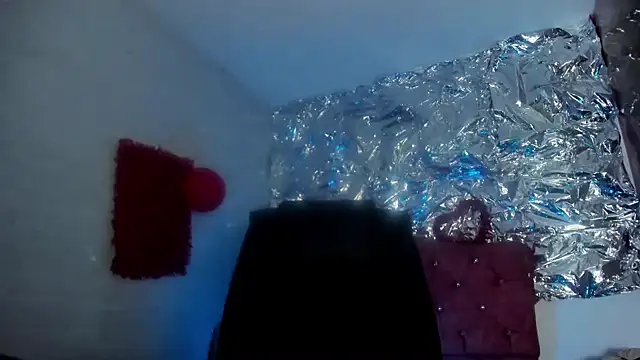 SarahStones online show from 04/09/26, 06:41