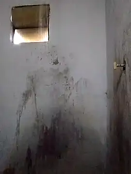 Snapshot of Percybr4561 chatting on 11/01/25, 01:16 Percybr4561 online show from 11/01/25, 01:16