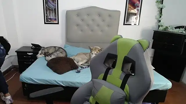 Nalaa Sc online show from 03/01/25, 04:26