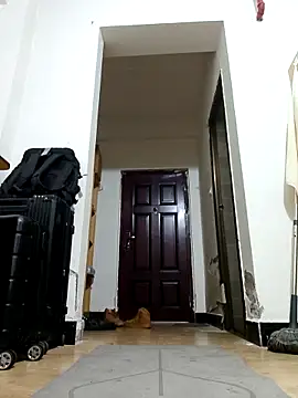 DDYY12341 online show from 11/18/25, 11:57